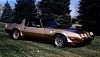 79' Gold Macho Turbo TA #7